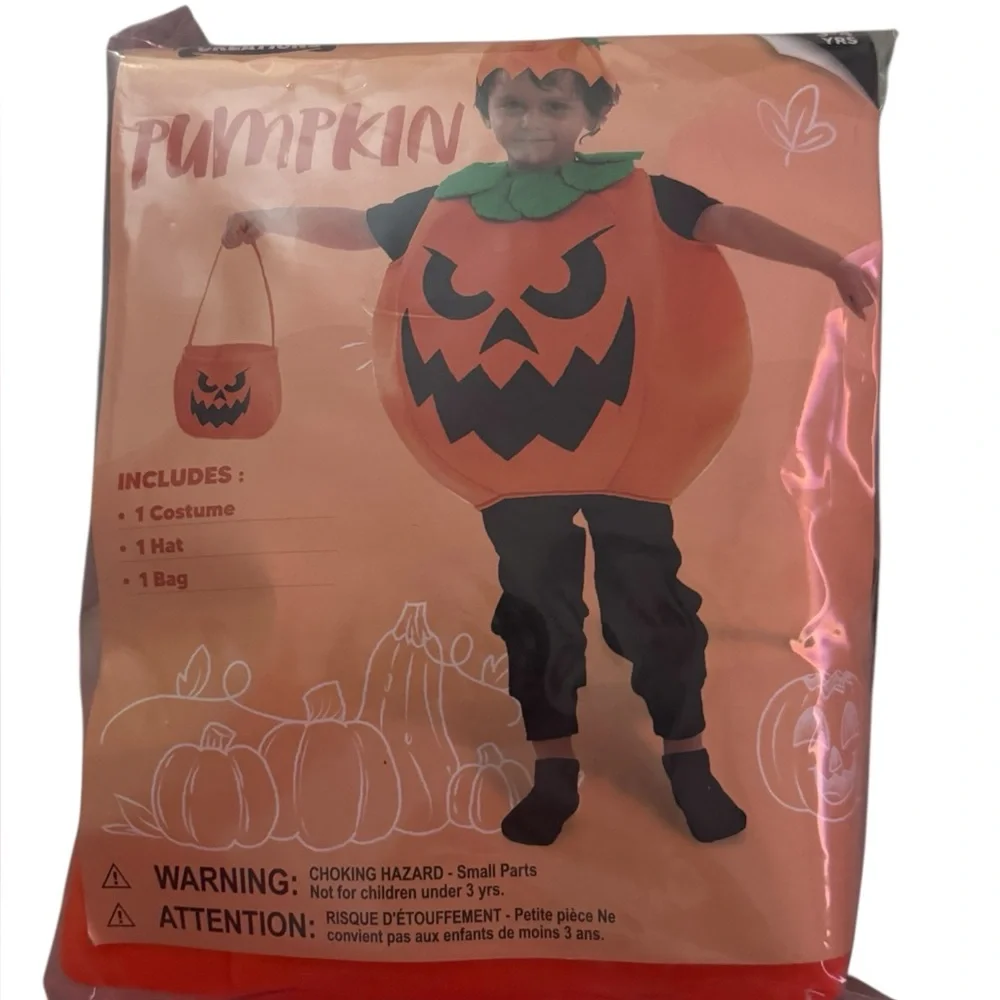 Toddler Halloween costume with hat and Basket size 3T